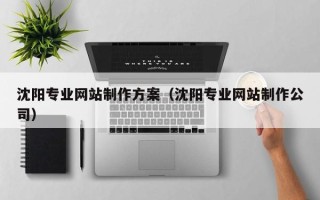 陆丰沈阳专业网站制作方案（沈阳专业网站制作公司）